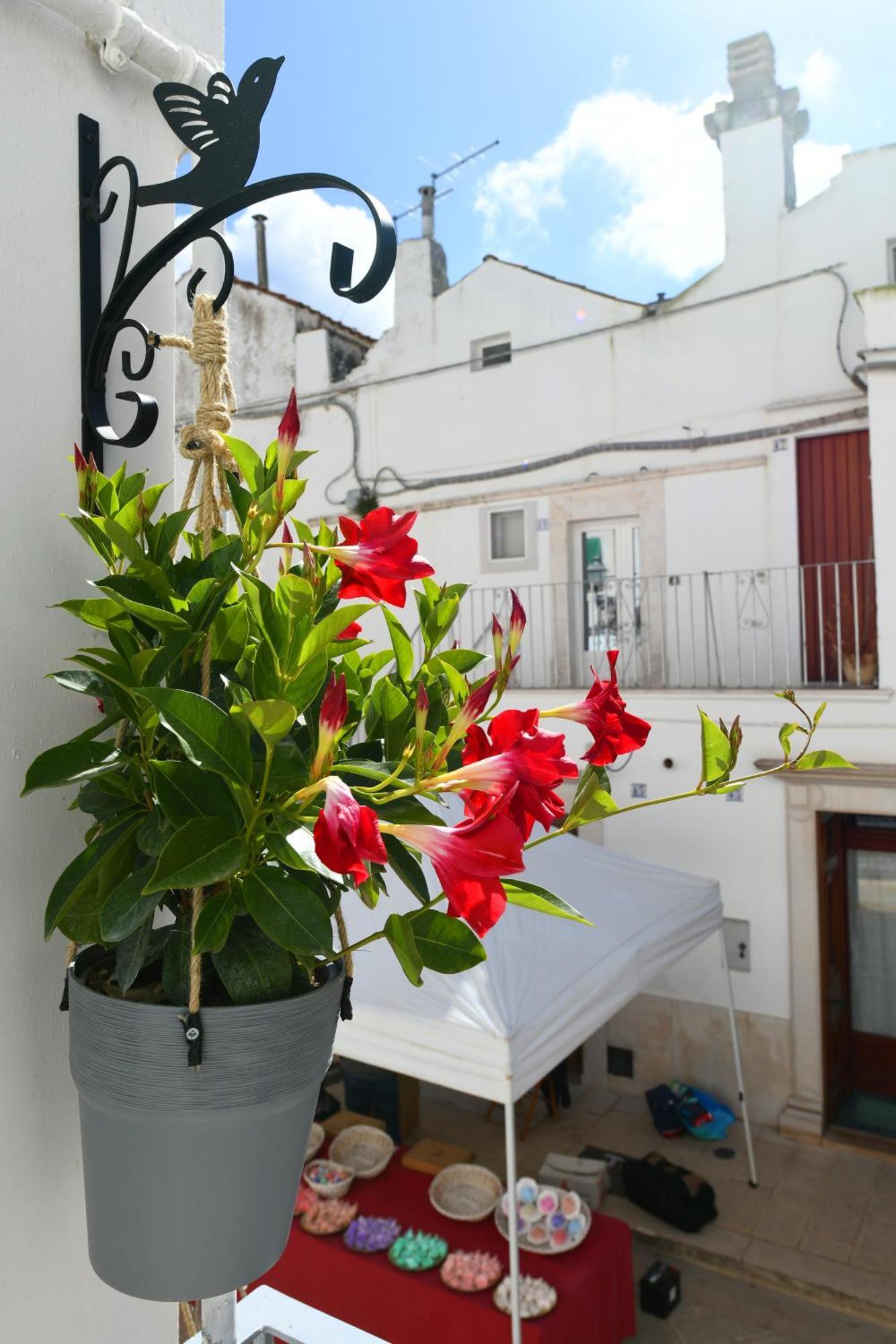 Appartement La Scala Del Borgo à Cisternino Extérieur photo
